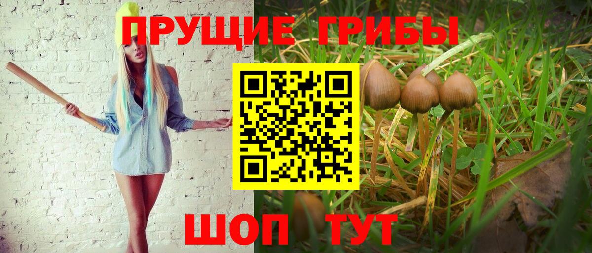 Галлюциногенные грибы мицелий Симферополь